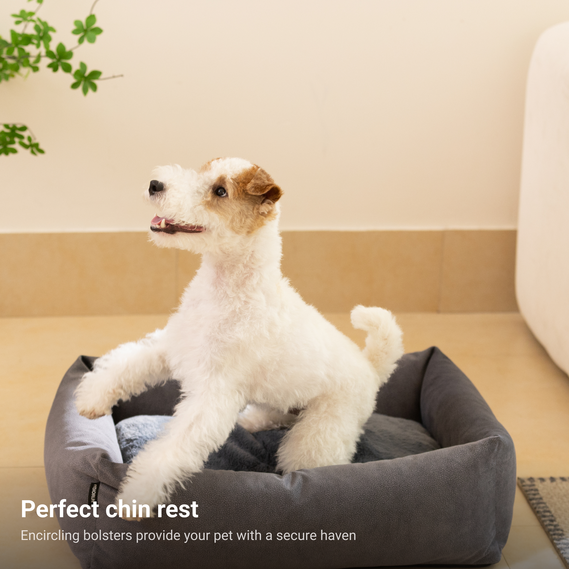 Easy-Clean Dog Bed